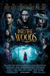 : Into the Woods 2014 German Dl 720p Web H264 iNternal-SunDry