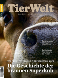 : TierWelt - Nr. 20 2024