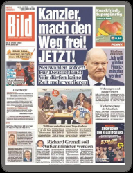 :  Bild Zeitung vom 08 November 2024