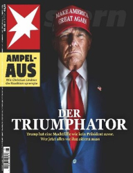 :  Der Stern Nachrichtenmagazin No 46 vom 11 November 2024