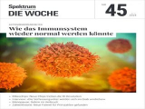 :  Spektrum Die Woche Magazin November No 45 2024