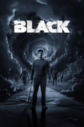 : Black 2024 720p WEBRip x264 AAC-YTS