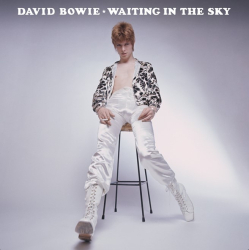 : David Bowie Waiting In The Sky Before The Starman Came To Earth 2024 1080p Pure MbluRay x264-Treble