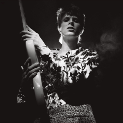 : David Bowie Rock N Roll Star Outtakes And Alternative Versions 2024 1080p Pure MbluRay x264-Treble