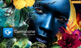 : ACDSee Gemstone Photo Editor v14.0.0.1152