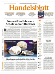 : Handelsblatt - 13. November 2024