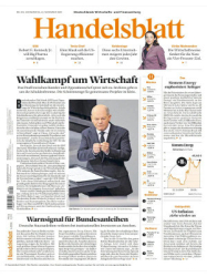 : Handelsblatt - 14. November 2024