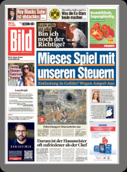 : Bild Zeitung vom 15 November 2024