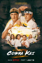 : Cobra Kai S06E08 German Dl 1080p Web h264-Sauerkraut