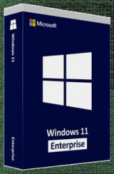 : Windows 11 Enterprise 24H2 Build 26100.2314 (x64)