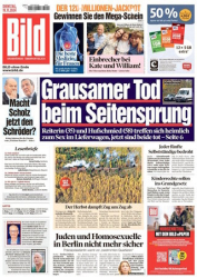 :  Bild Zeitung vom 19 November 2024