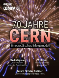 : Spektrum der Wissenschaft Kompakt No 46 vom 18  November 2024
