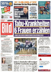 :  Bild Zeitung vom 21 November 2024