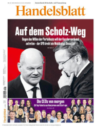 : Handelsblatt - 22. November 2024