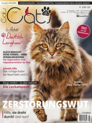 : Our Cats - September 2024