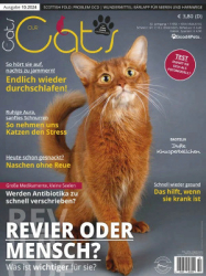 : Our Cats - Oktober 2024