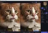 : Topaz Gigapixel AI v8.0.4 (x64)