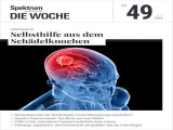 :  Spektrum Die Woche Magazin Dezember No 49 2024