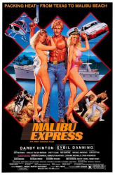 : Malibu Express 1985 German 1080p Web H264-ClassiCalhd