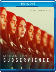 : Subservience 2024 German WEBRip 1080p x265 AAC-LDO