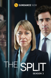 : The Split Beziehungsstatus ungeklaert S01E01 German Dl 1080p Web H264-Fwb