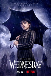 : Wednesday S01E08 Ein Leid kommt selten allein German Dl 1080p BluRay x264-Tv4A