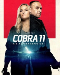 : Alarm fuer Cobra 11 S50E02 German 720P Web X264-Wayne