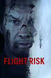 : Flight Risk 2025 German AC3 MD WEBRip x265-LDO