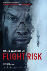 : Flight Risk 2025 German MD DL 1080p WEB x265-LDO