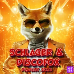 : Schlager & Discofox 2025 - Die Hits für deine Tanzparty Vol. 4 (2025)