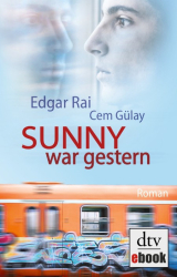 : Wenn nicht, dann jetzt: Roman - Rai, Edgar
