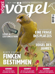 : Vögel 1.2024