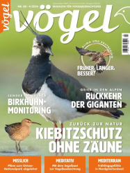 : Vögel 4.2024