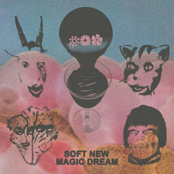 : Black Moth Super Rainbow - Soft New Magic Dream (2025)