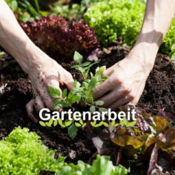 Cover: Gartenarbeit (2025) : Gartenarbeit (2025)