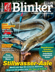 Cover: Blinker No 07.2025 : Blinker No 07.2025
