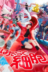 Cover: Cells At Work 2024 German AC3 WEBRip x264-LDO : Cells At Work 2024 German AC3 WEBRip x264-LDO