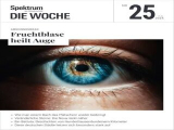 :  Spektrum Die Woche Magazin Juni No 25 2025