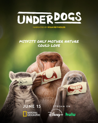 Cover: Underdogs Aussenseiter des Tierreichs S01 German Dl Doku 1080p Web h264-Haxe : Underdogs Aussenseiter des Tierreichs S01 German Dl Doku 1080p Web h264-Haxe
