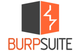 Cover: Burp Suite Professional 2025.5.3 : Burp Suite Professional 2025.5.3