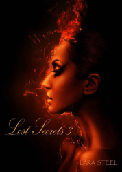 Cover: Lost Secrets 3 - Lara Steel : Lost Secrets 3 - Lara Steel