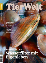 Cover: TierWelt 13.2025 : TierWelt 13.2025
