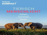 : Spektrum Kompakt Magazin Juni No 26 2025