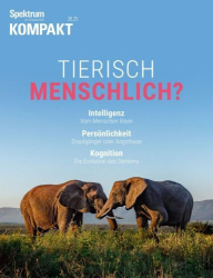 : Spektrum der Wissenschaft Kompakt Juni No 26 2025
