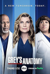 : Greys Anatomy Die jungen Aerzte S21E13 GERMAN DL 1080P WEB H264-WAYNE