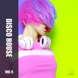: Disco House Vol 9 (2025)