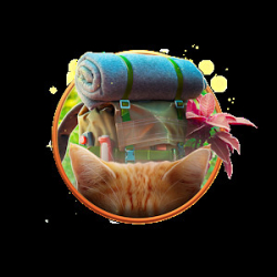 Cover: Home for Friends: Beloved Pets Collector's Edition (macOS) : Home for Friends: Beloved Pets Collector's Edition (macOS)