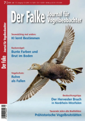 : Der Falke 7.2025