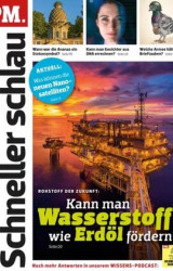 :  P.M Fragen und Antworten Magazin Juli  No 07 2025
