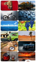 : Beautiful Mixed Wallpapers Pack 617